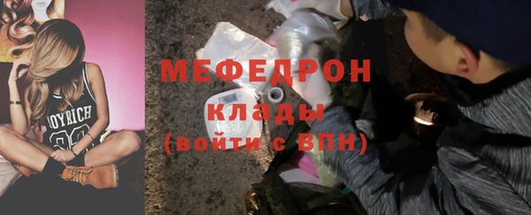 шишки Медвежьегорск