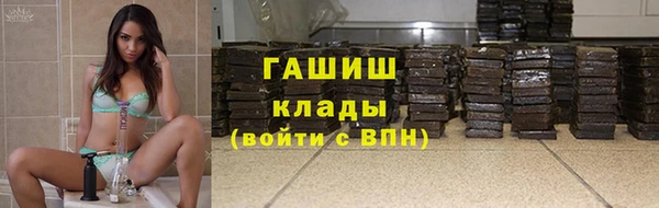 шишки Медвежьегорск