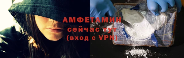 шишки Медвежьегорск