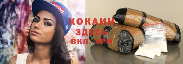 шишки Медвежьегорск