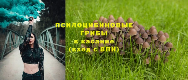 шишки Медвежьегорск