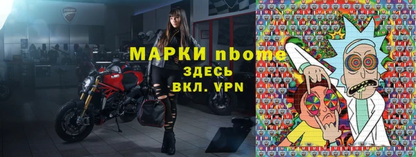 шишки Медвежьегорск