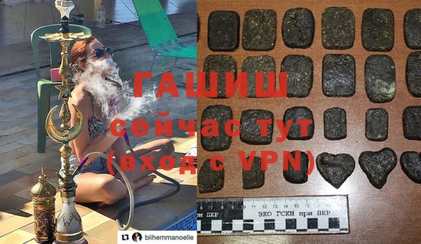 шишки Медвежьегорск