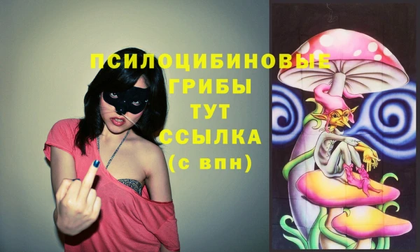 шишки Медвежьегорск