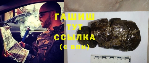 шишки Медвежьегорск