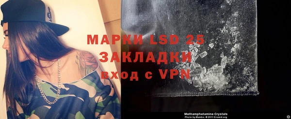 шишки Медвежьегорск