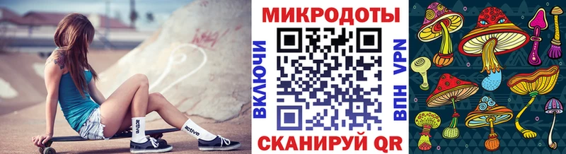 Галлюциногенные грибы Psilocybe  Купить где  Новая Усмань 